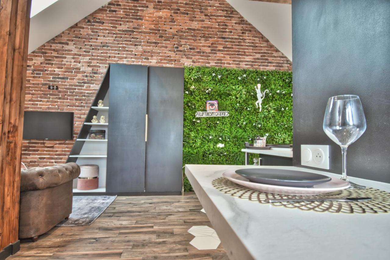 * Le Loft Des Mysteres * Apartment Maintenon Bagian luar foto